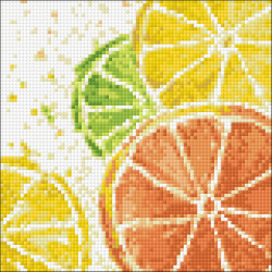Citrus Mix 20*20 cm WD289