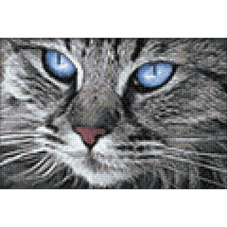 Blue-Eyed Cat 30*20 cm WD2517