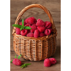 (D) Raspberry Basket 27 х 38 cm WD252