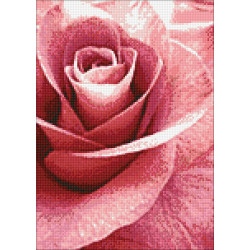 Rožinė rožė 27 x 38 cm WD019