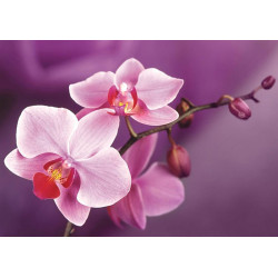 Ветка орхидей 38*27 см WD038