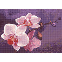 Ветка орхидей 38*27 см WD038