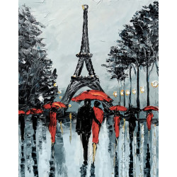 Paris in Rain 38*48 cm WD156
