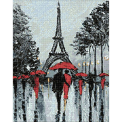 (D) Paris in Rain 38*48 cm WD156