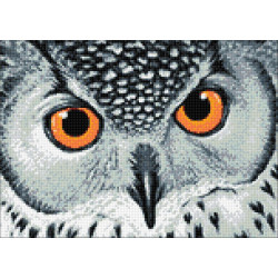 Owl's Look 38 x 27 cm WD243
