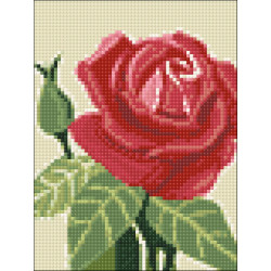 (D) Rose 15*20 cm WD305