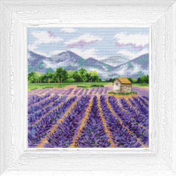 Provence S1156