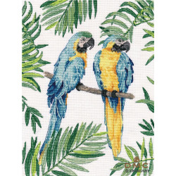 Blue-and-yellow macaw S1348