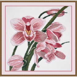 (Eingestellt) Orchidee S762