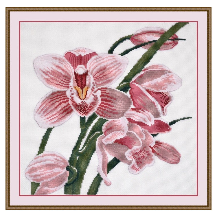 (Nutraukta) Orchidėja S762