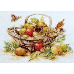 Siuvinėjimo rinkinys PN/0007960