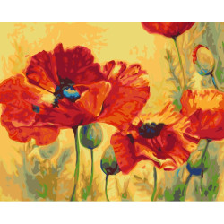 Wizardi painting by number kit. Field Poppies 40x50 cm T110
