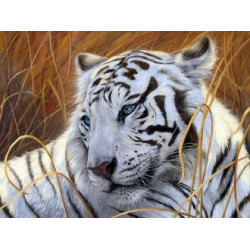 (Eingestellt) Diamant-Malset „Weißer Tiger“ AZ-1401