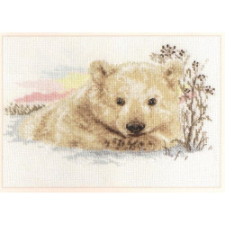 Northern Bear cub S1-19