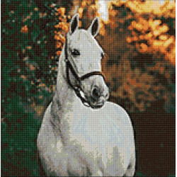 White horse 40*40 WD3030