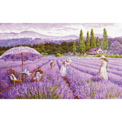 Lavender field SBU5008