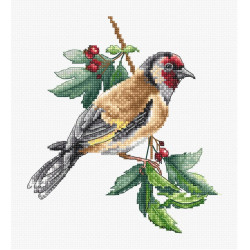 Goldfinch bird SB1197