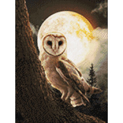 Mysterious Owl 30*40 WD3066