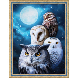 Night owls 30*40 cm AM1738