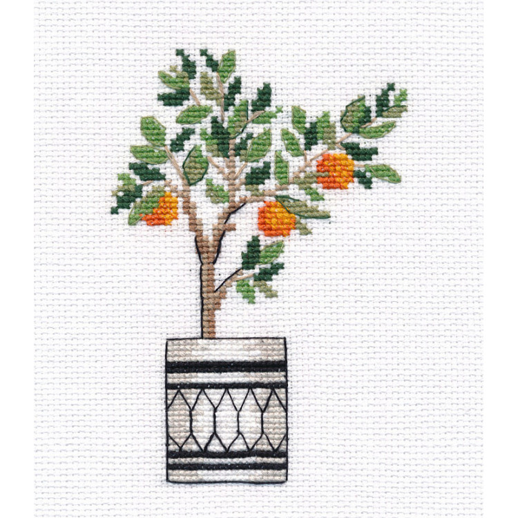 Orange tree S1487