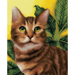 Алмазная картина с подрамником "Зеленоглазый котенок" 40*50 см DP022