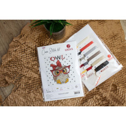 Cross Stitch Kit The Owl With Glasses SB1403