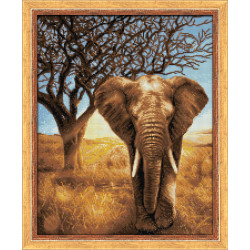 Африканский слон 40x50 см AZ-1783