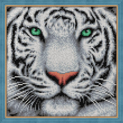 Портрет белого тигра 25х25 см AZ-1788