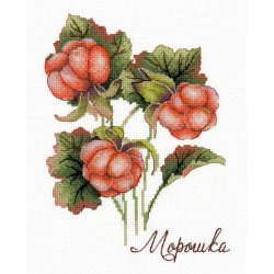 Cross stitch kit "Gifts of nature. Cloudberry" SNV-815