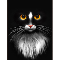 Набор алмазной живописи "Черный кот" 30х40 AM1899