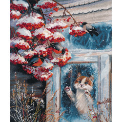 Cross stitch kit "Miracle behind the window" S1540