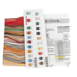 Cross stitch kit on perforated paper