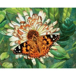 (Discontinued) Diamond painting kit Butterfly on the Flower AZ-1205