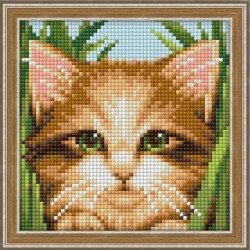Diamond painting kit Green-eye Cat 15х15 cm AM1640