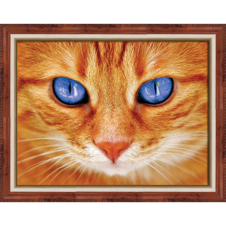 Blue-Eyed Cat 40х30 cm AZ-1716