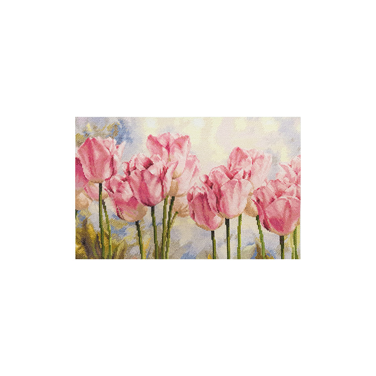 (Discontinued) Tulips S2-37