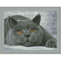 Diamant-Malerei-Set, britische Katze, 40 x 30 cm AZ-1463