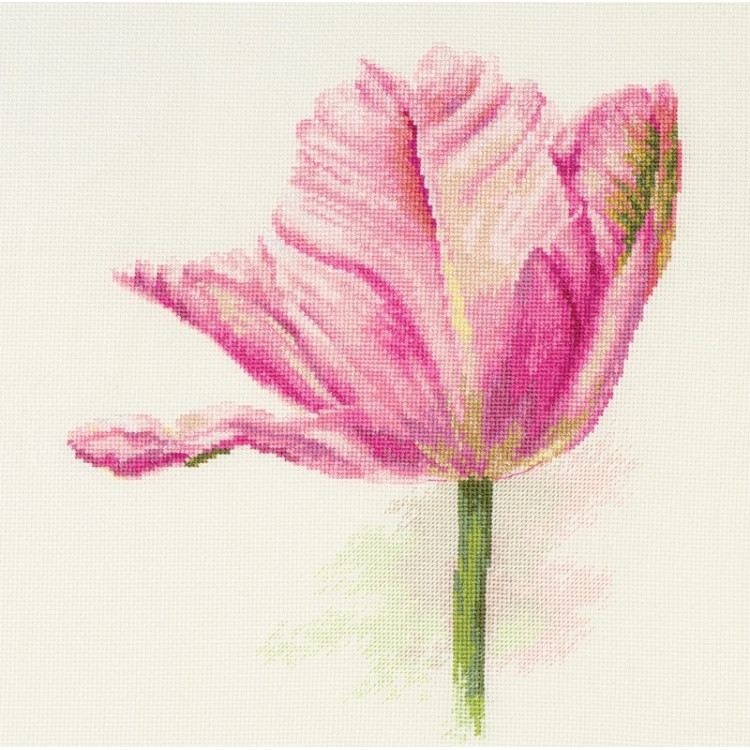 Tulips. Light Pink S2-42