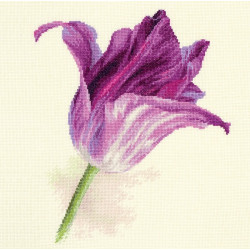 Tulips. Lilac Velvet S2-44