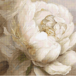 Counted Cross Stitch Kit "Peony Poses" 35x35cm SLETIL8083