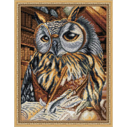 (D) Smart Owl 30x40 cm AZ-1737