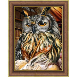 (D) Smart Owl 30x40 cm AZ-1737