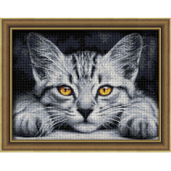 Yellow-Eyed Kitten 40x30 cm AZ-1807