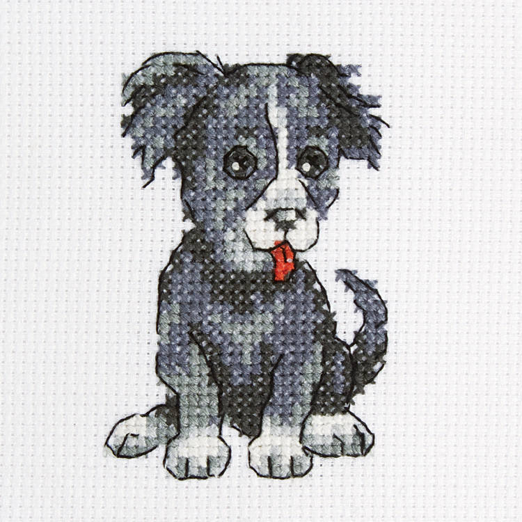 Cross-stitch kit "Quick Ritchie" H239