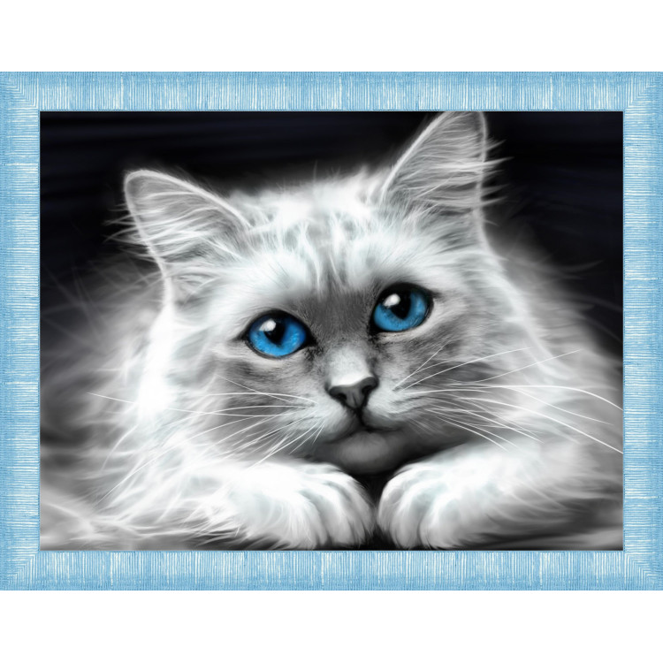 Blauäugige Katze 40x30 cm AZ-1761
