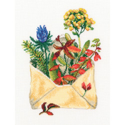 Cross-stitch kit "Letter from the forest" M768