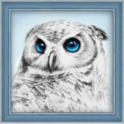 Deimantinio dažymo rinkinys Owl Sight 25х25 cm AZ-1549