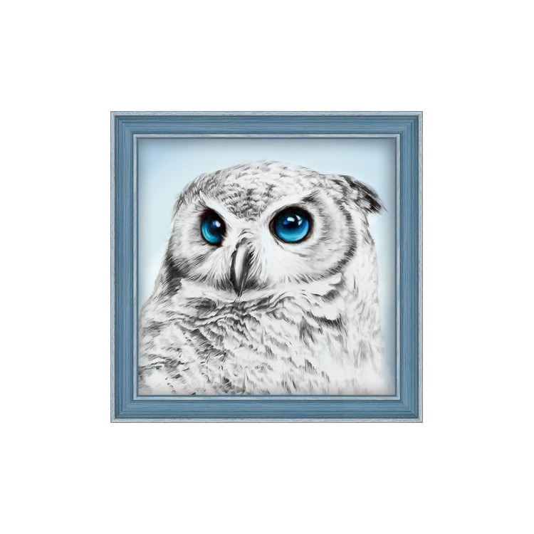 Deimantinio dažymo rinkinys Owl Sight 25х25 cm AZ-1549