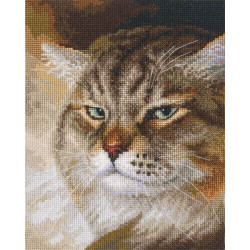 Cross-stitch kit "Sly and extremely beautiful. «MACHO»" M995