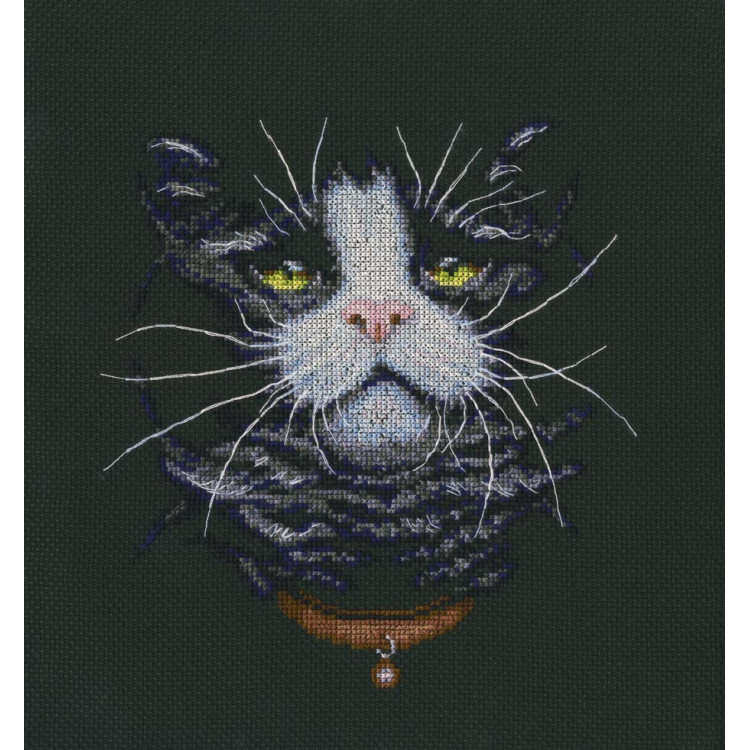 Набор для вышивания крестом "Кошачий любимец" М576.